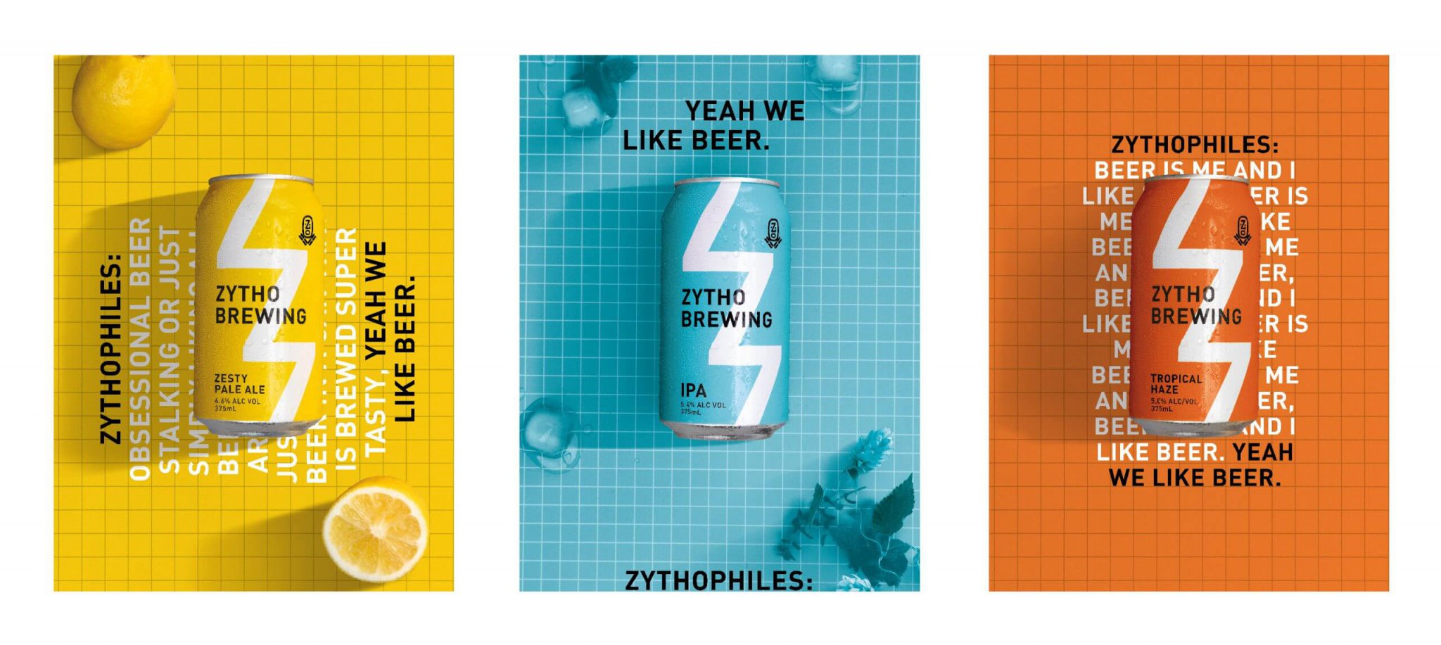 灌装精酿啤酒饮料视觉包装设计参考(图2)