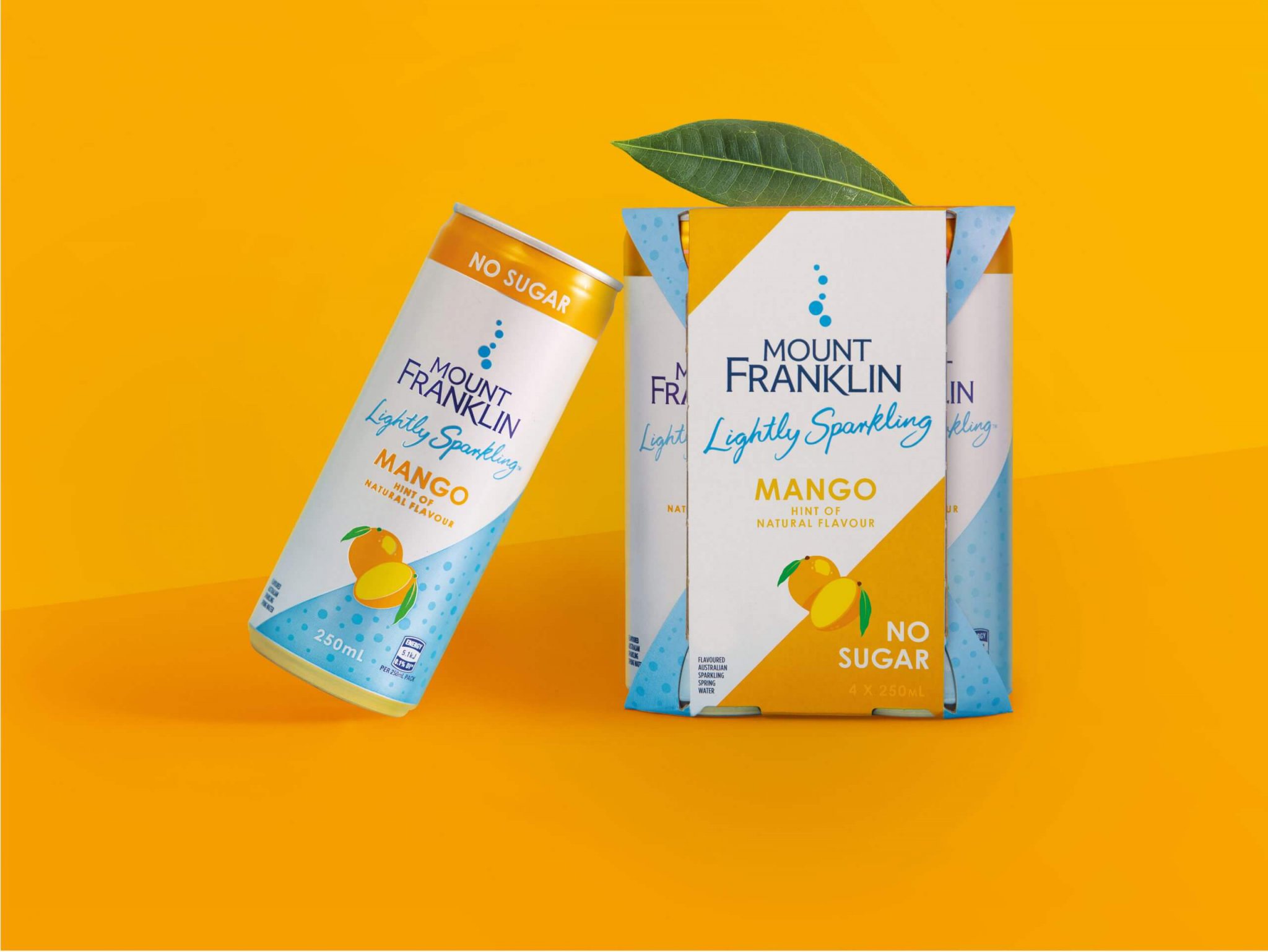 灌装精酿啤酒饮料视觉包装设计参考(图7)