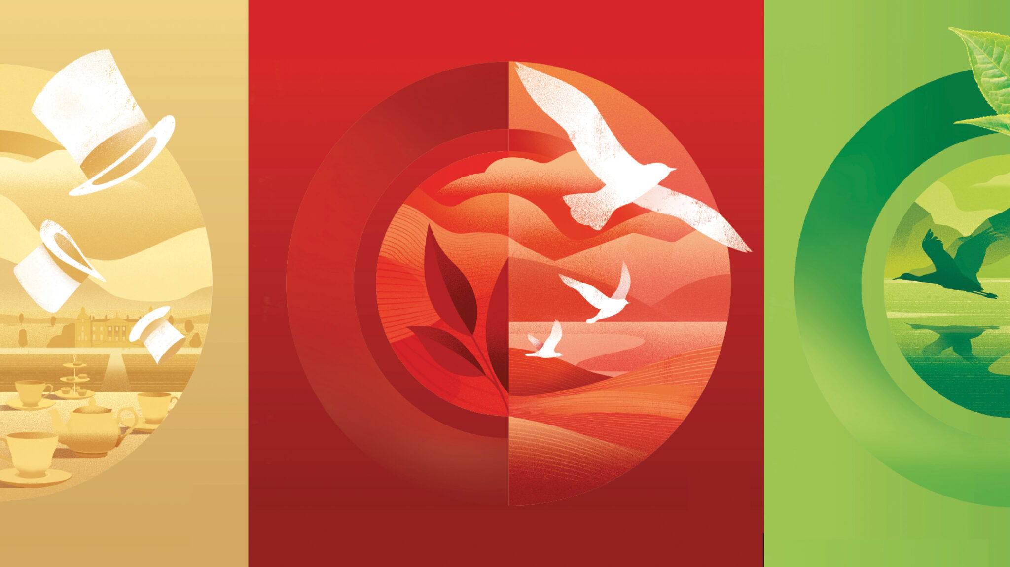 Twinings 茶包装这样设计视觉识别更加现代(图4)