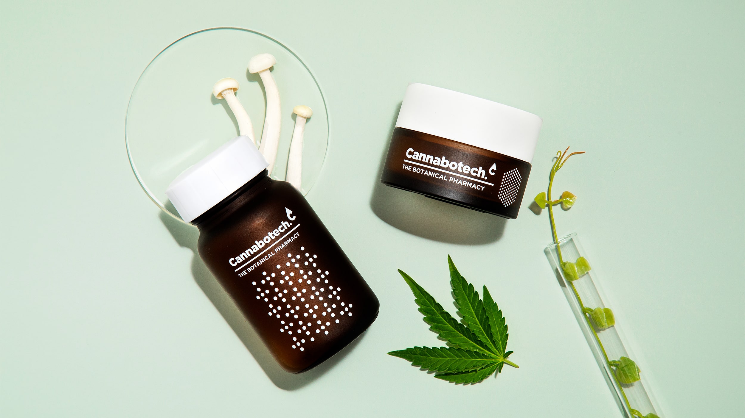 优质品牌植物护理产品包装设计欣赏(图3)