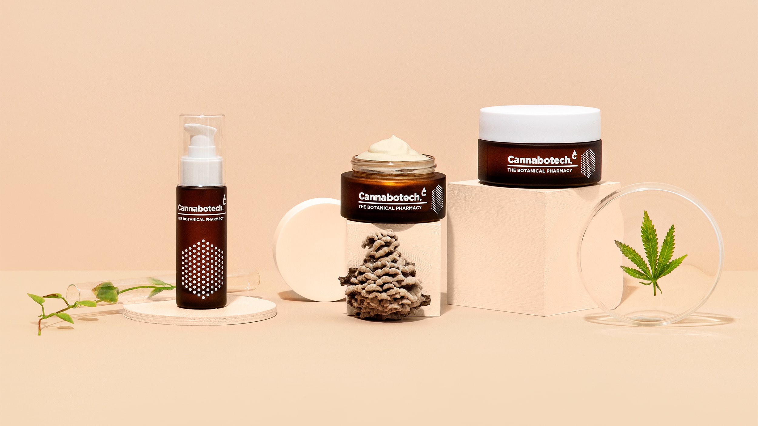 优质品牌植物护理产品包装设计欣赏(图4)