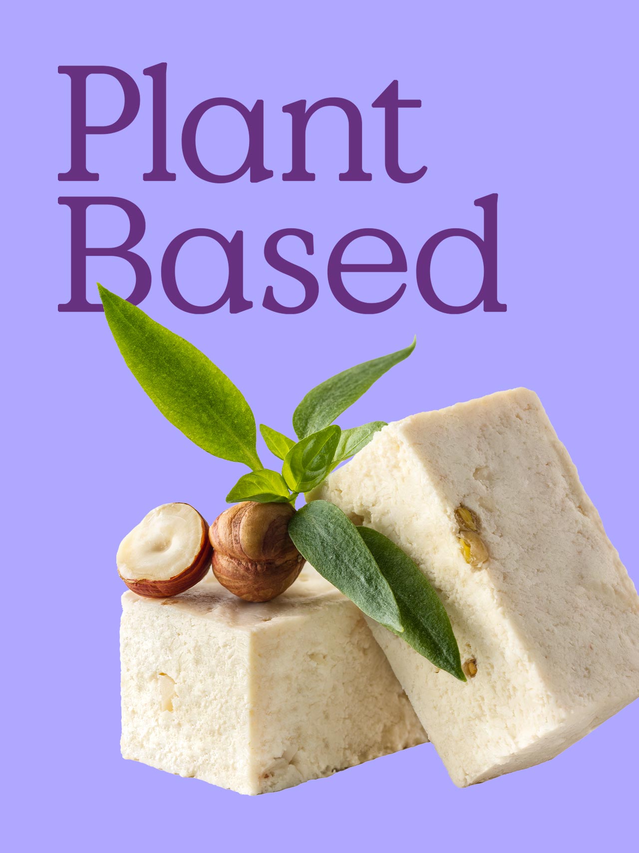 植物奶酪品牌视觉识别包装设计(图2)