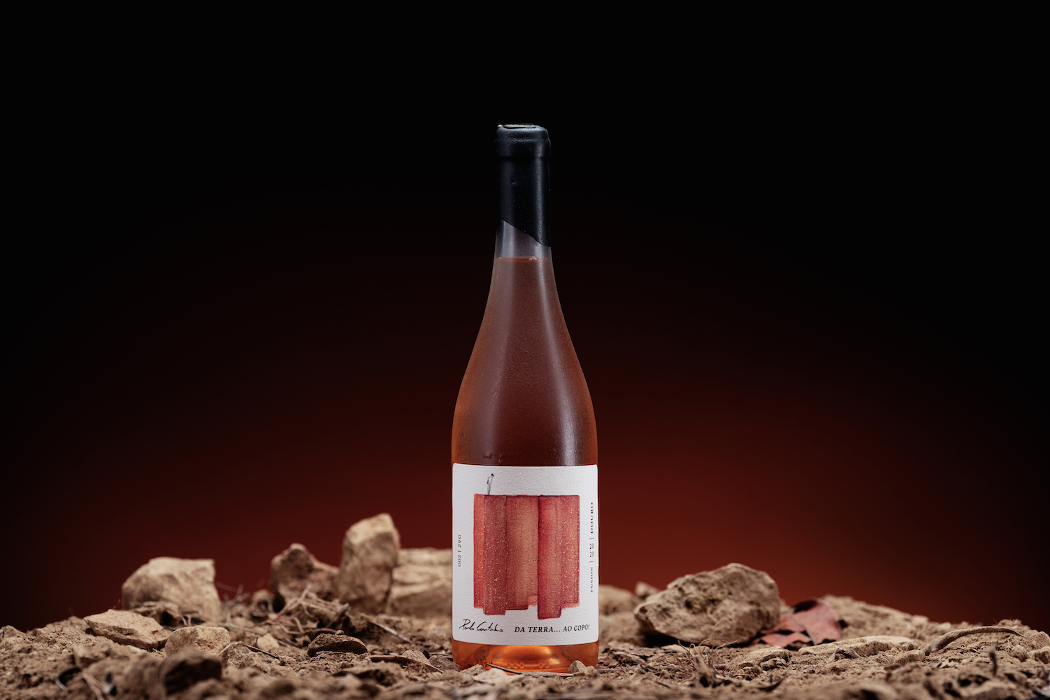 简约优雅的葡萄酒包装设计参考(图2)