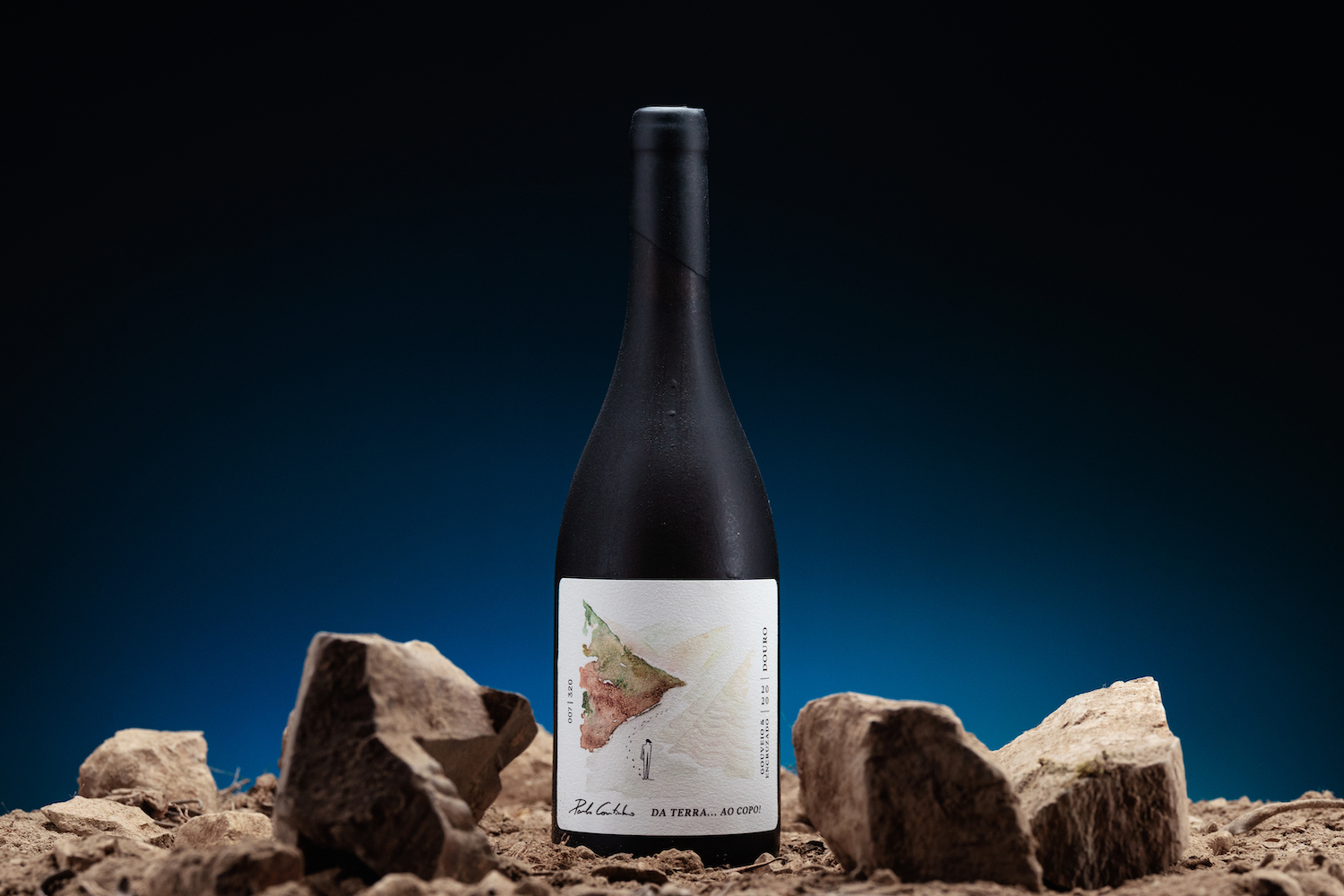 简约优雅的葡萄酒包装设计参考(图4)