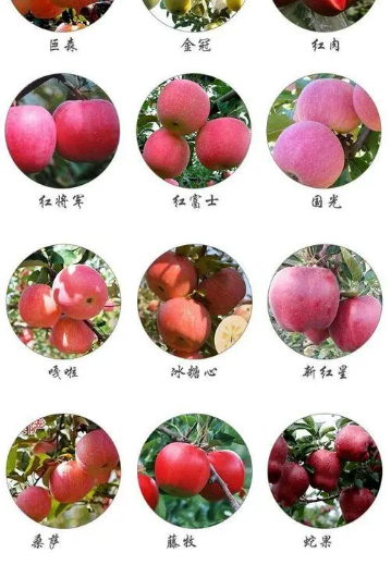 张正:揭开品牌卖货的核心秘密(图7) 四喜:揭开品牌卖货的核心秘密(图6)