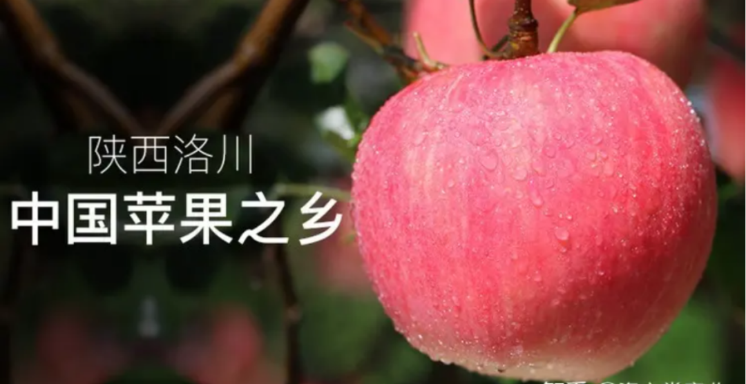 张正:揭开品牌卖货的核心秘密(图17) 四喜:揭开品牌卖货的核心秘密(图16)