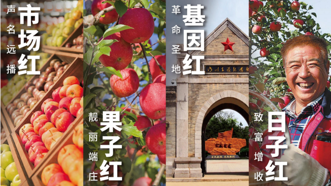 张正:揭开品牌卖货的核心秘密(图20) 四喜:揭开品牌卖货的核心秘密(图19)