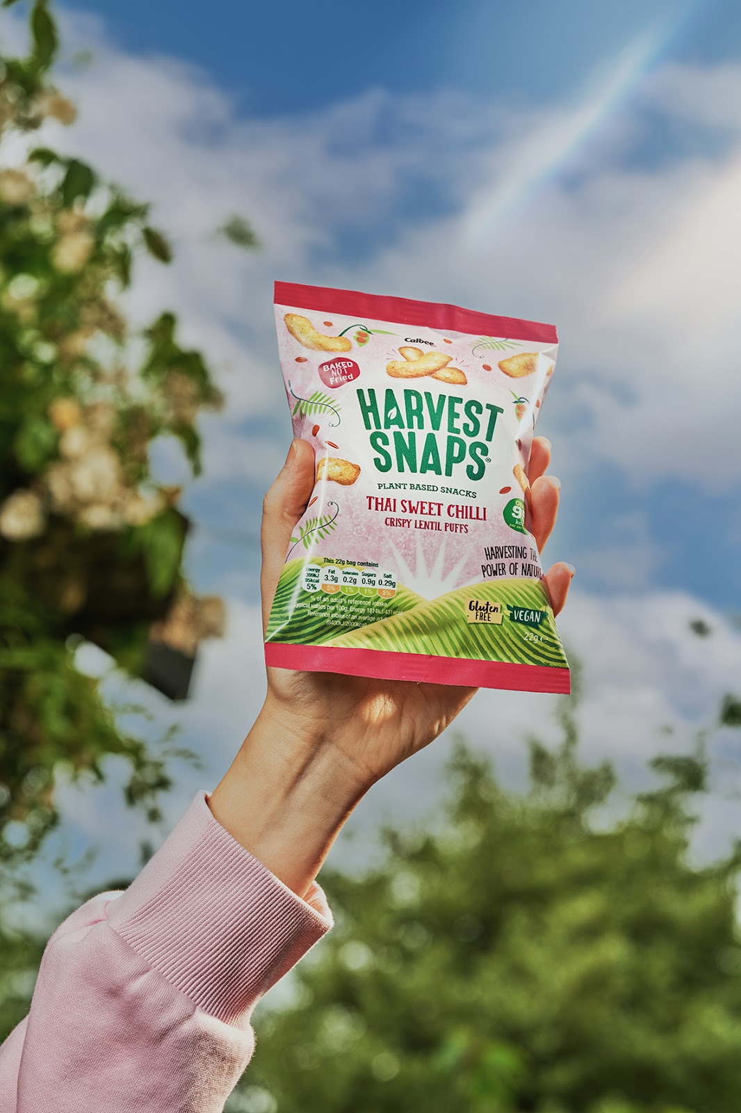 美味休闲零食包装设计作品欣赏(图5)