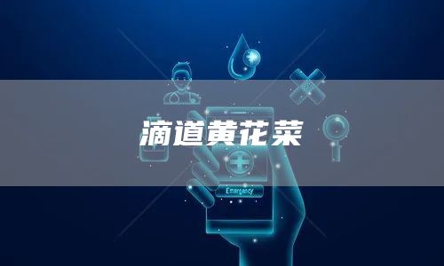 滴道黄花菜(图1)