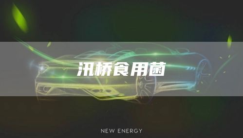 汛桥食用菌(图1)