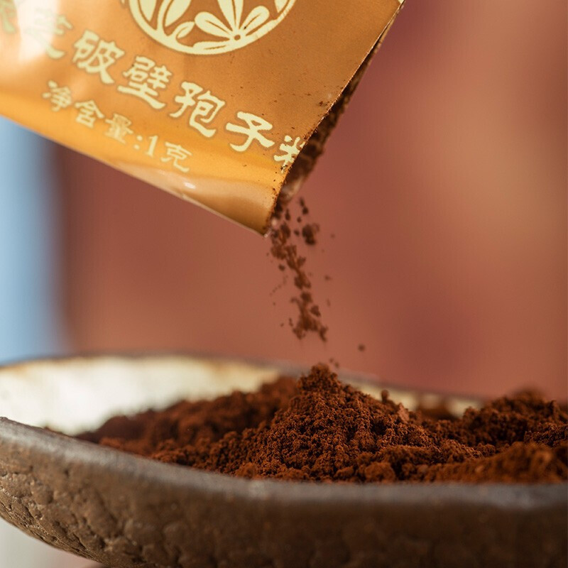 雷允上 破壁灵芝孢子粉 22g*3盒保健产品包装创意设计欣赏(图5)