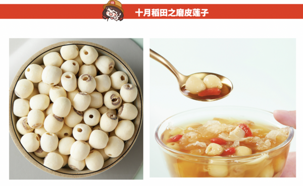 SHI YUE DAO TIAN 十月稻田 莲子 250g/袋包装设计欣赏 (图2) SHI YUE DAO TIAN 十月稻田 莲子 250g/袋包装设计欣赏 (图2)