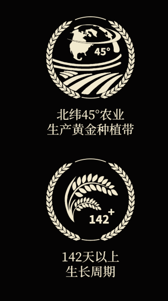 四喜如何通过包装设计，让金鹤黑珍珠大米彰显高端定位(图4)