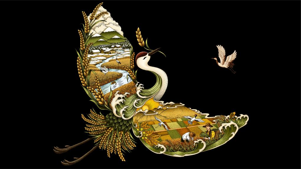 四喜如何通过包装设计，让金鹤黑珍珠大米彰显高端定位(图6)