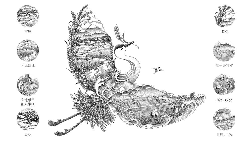 四喜如何通过包装设计，让金鹤黑珍珠大米彰显高端定位(图5)