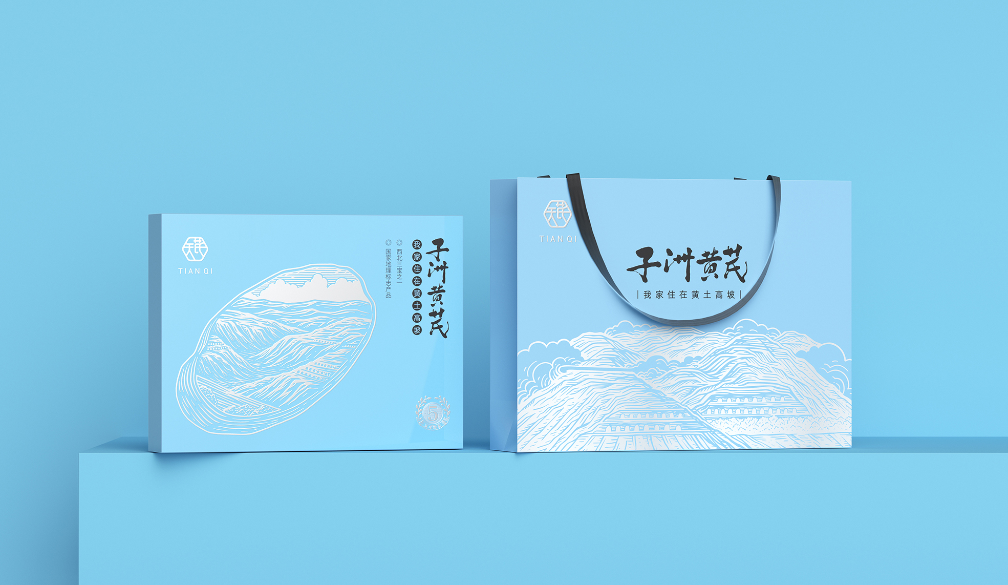 如何设计黄芪礼盒包装(图1)