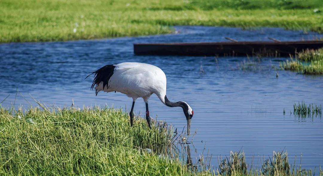 四喜:农产品品牌很难做出差异?从产地入手发掘根本差异!(图2) 四喜:农产品品牌很难做出差异?从产地入手发掘根本差异!(图2)