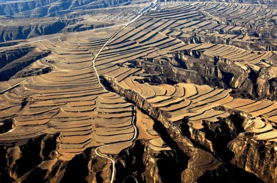 四喜:农产品品牌很难做出差异?从产地入手发掘根本差异!(图7) 四喜:农产品品牌很难做出差异?从产地入手发掘根本差异!(图7)