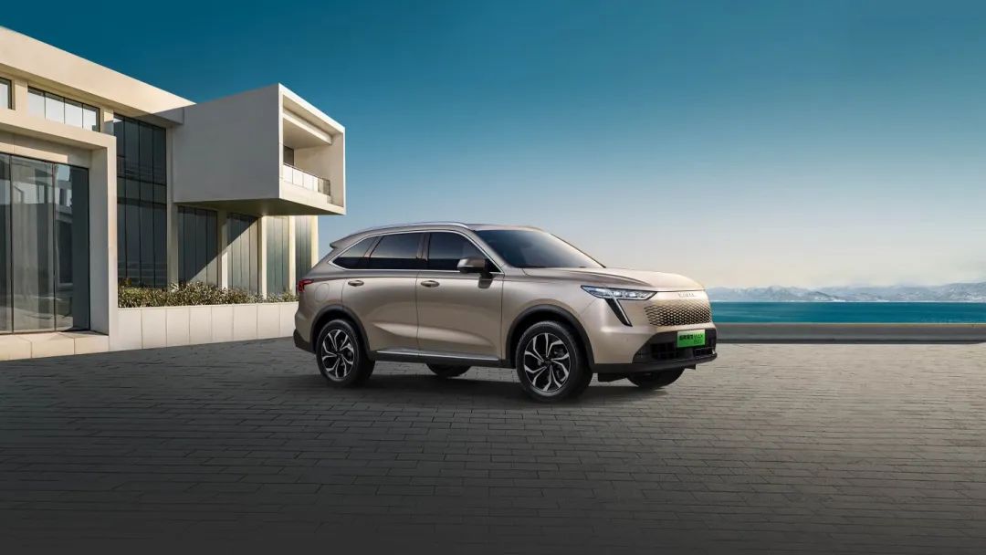 四喜:起步就做老大(图4) 四喜:起步就做老大(图4)