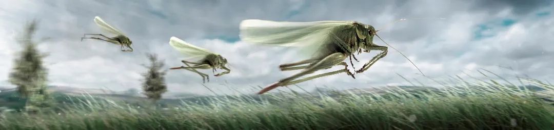 四喜：为什么说，成功营销都是突破口营销？(图6)