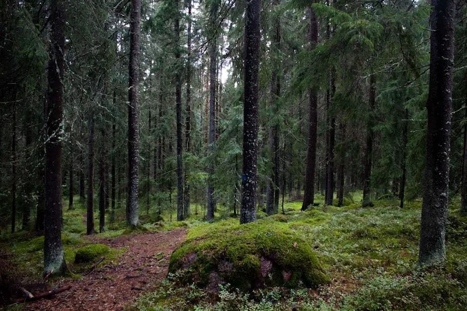 四喜：你触摸到天花板了吗？(图2)