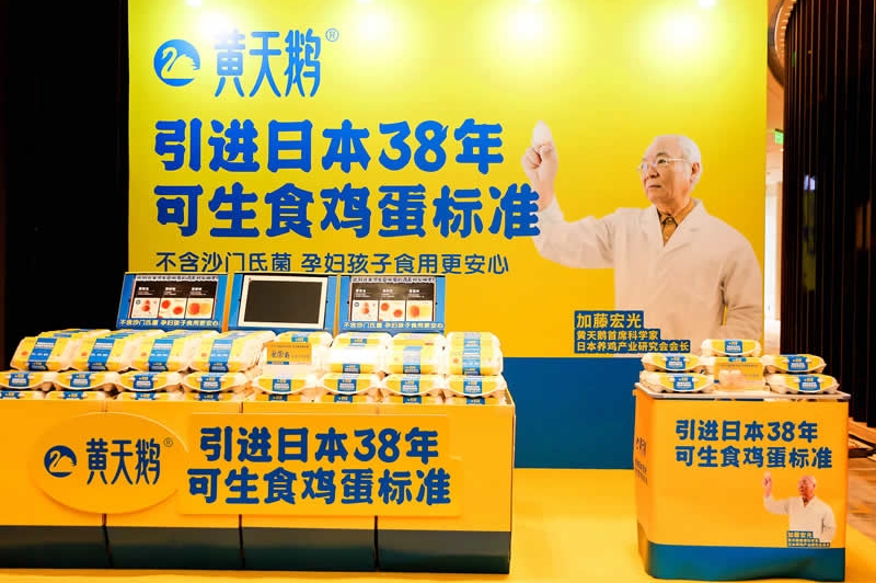 黄天鹅可生食鸡蛋&大师小点蛋挞品牌包装全案设计