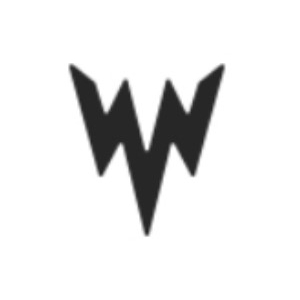 威泽品牌logo设计欣赏与分析(图1)