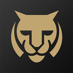 必虎路由品牌logo设计欣赏与分析(图1)