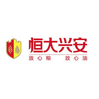 恒大兴安品牌故事-logo设计分析(图1)