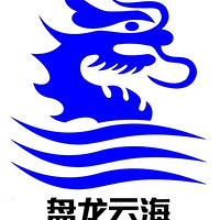 盘龙云海品牌故事-logo设计分析(图1)