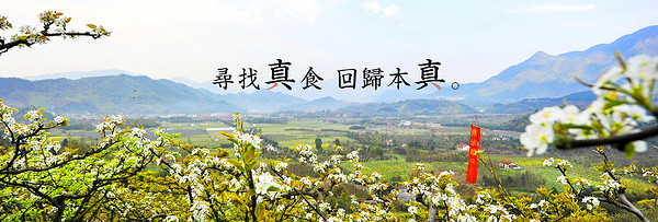 真食约定品牌故事-logo设计分析(图2)