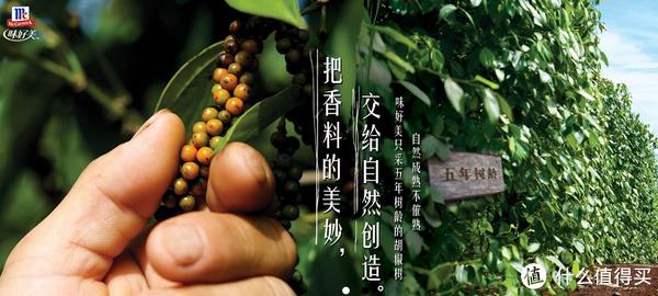 味好美品牌故事-logo设计分析(图1)