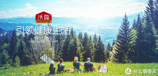 沃隆品牌故事-logo设计分析(图1)