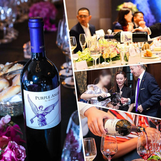 创意酒包装设计蒙特斯天使秘密紫天使空加瓜谷干型红葡萄酒产品包装设计欣赏(图8)