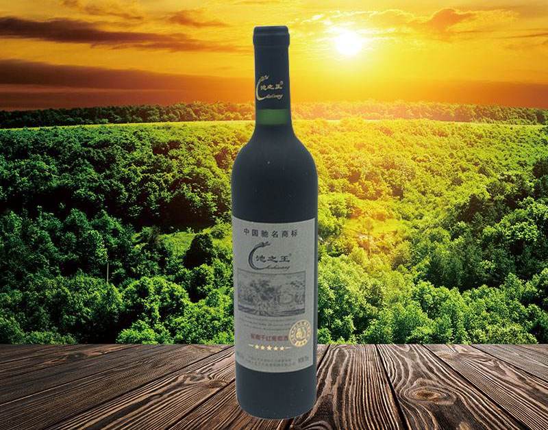 池之王品牌logo与食品包装设计欣赏(图3)