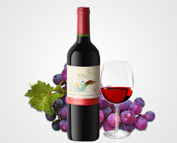 佳沃葡萄酒品牌logo与食品包装设计欣赏(图4)