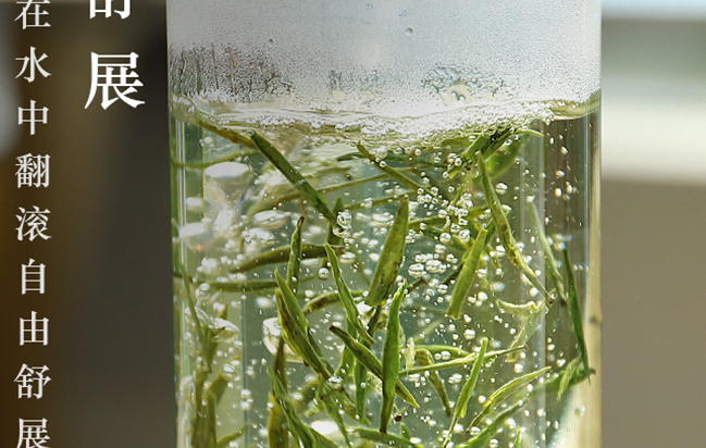 阳春白雪茶叶 阳春白雪品牌logo与食品包装设计欣赏(图4)