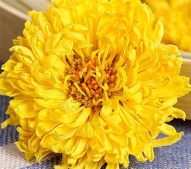 花依旧品牌logo与食品包装设计欣赏(图4)