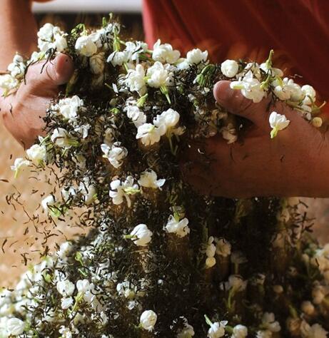 吴裕泰品牌logo与食品包装设计欣赏(图3) 吴裕泰品牌logo与食品包装设计欣赏(图3)