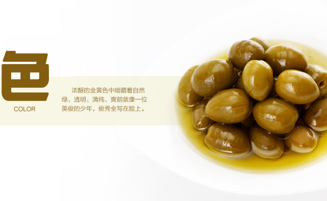 田园油橄榄品牌logo与食品包装设计欣赏(图2)