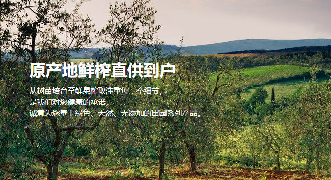 田园油橄榄品牌logo与食品包装设计欣赏(图3)