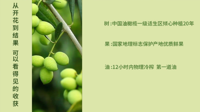 田园油橄榄品牌logo与食品包装设计欣赏(图4)