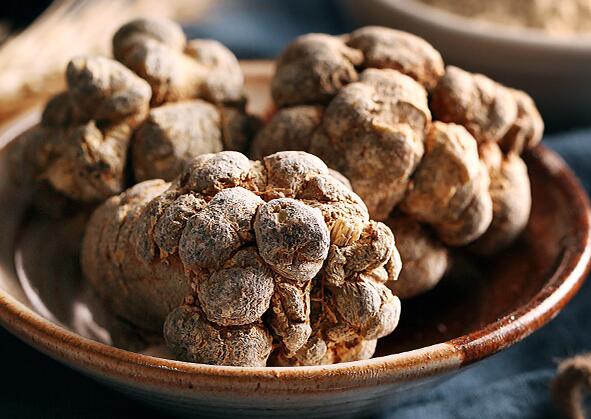 高田 高田品牌logo与食品包装设计欣赏(图2)