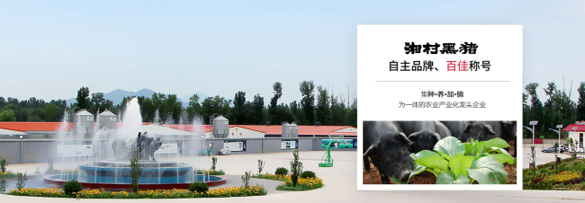 湘村黑猪品牌logo与食品包装设计欣赏(图3)