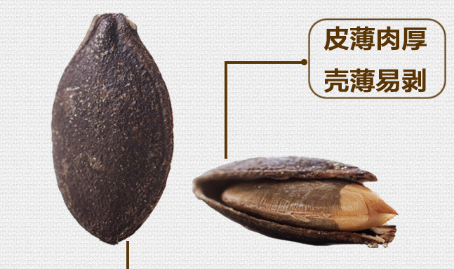 老闫家南瓜子 老闫家品牌logo与食品包装设计欣赏(图4)