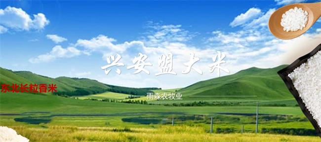 雨森品牌logo与食品包装设计欣赏(图2)