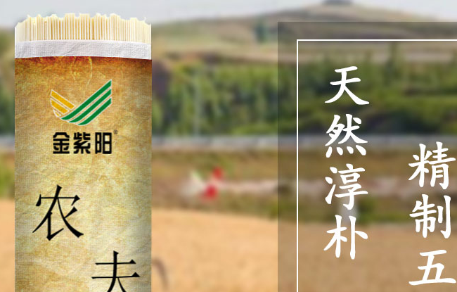 金紫阳 金紫阳品牌logo与食品包装设计欣赏(图3)