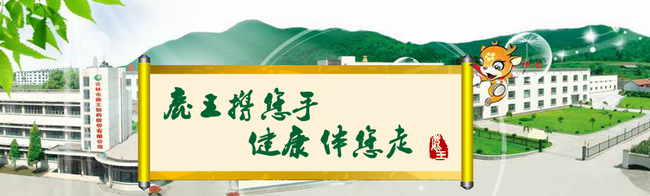 龙潭山品牌logo与食品包装设计欣赏(图2)