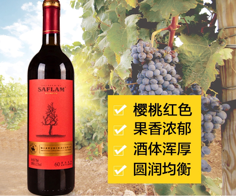 西夫拉姆SIFRAM品牌logo与食品包装设计欣赏(图3)