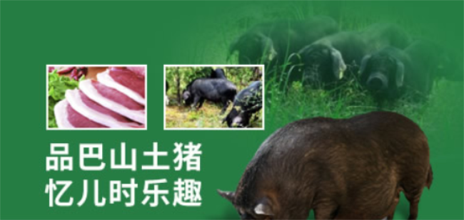巴山土猪品牌logo与食品包装设计欣赏(图2)